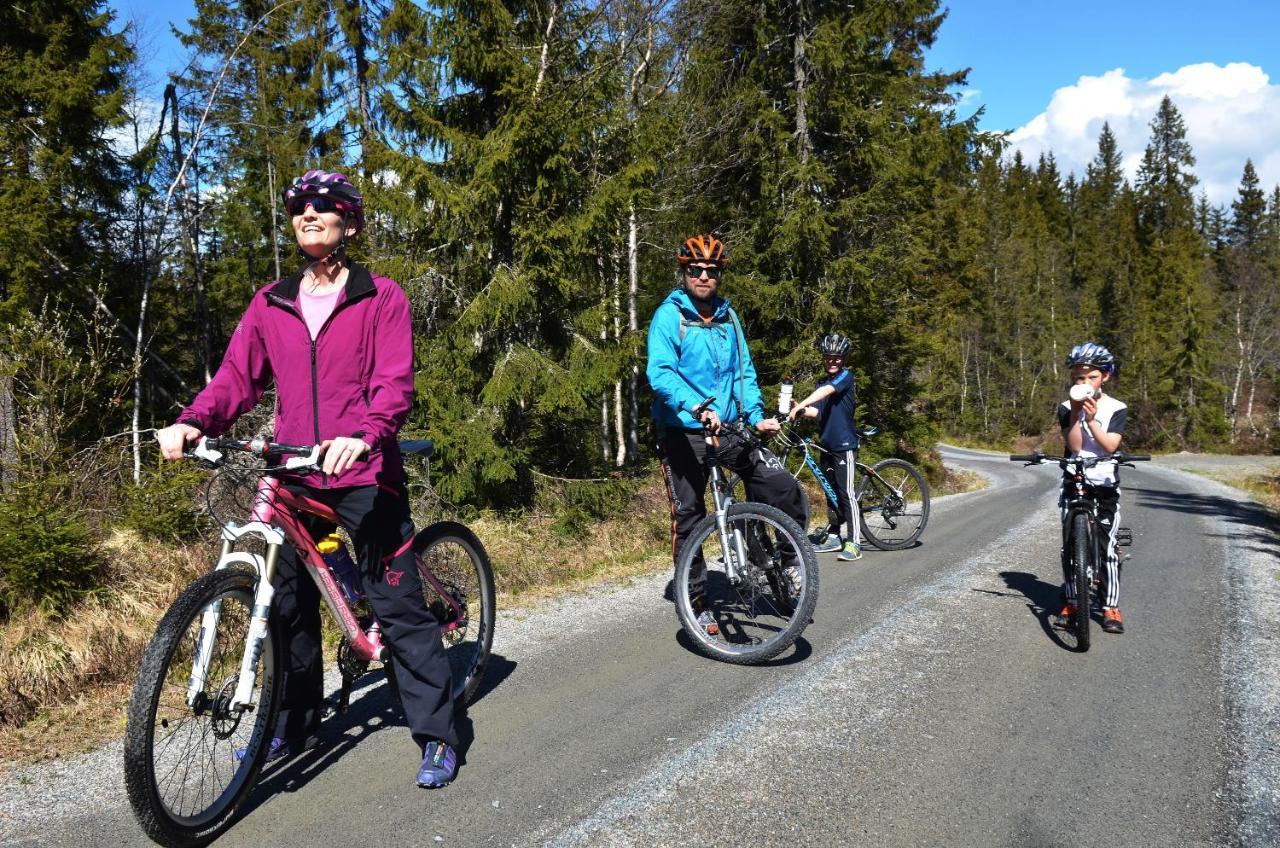 Topcamp Onsakervika - Tyrifjorden Svensrud Zewnętrze zdjęcie